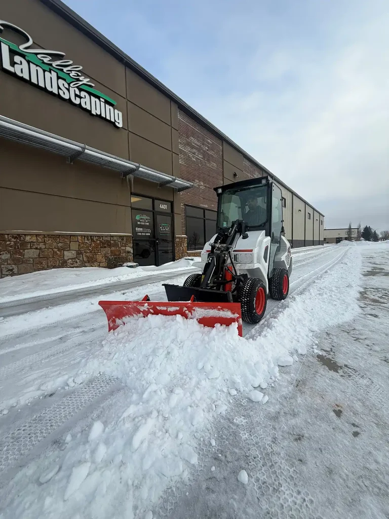 snow